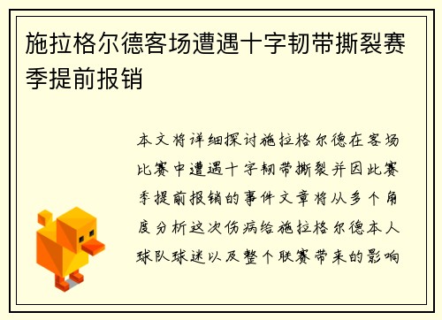 施拉格尔德客场遭遇十字韧带撕裂赛季提前报销